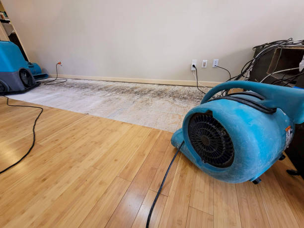 Professional Structural Drying technician working in Wrightstown, WI